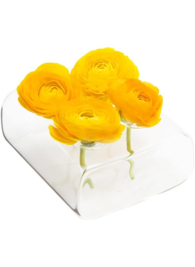 Chive Hudson 2 Flute Flower Vase  Beautiful Small 4Hole MultiChambered Clear Glass Bud Vase  Perfect Flower Vases for Centerpieces Wedding Decorations and Living Room Decor - Image 2