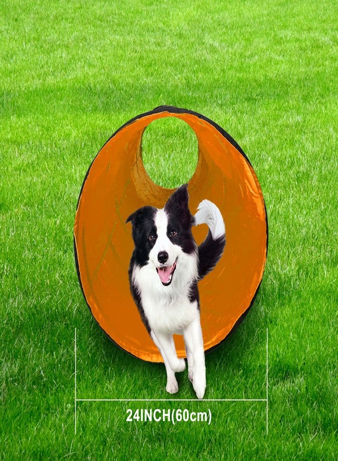 GeerDuo Dog Agility Tunnel, Dog Agility Equipment, Dog Agility Training with Carry Bag (Orange) - Image 5