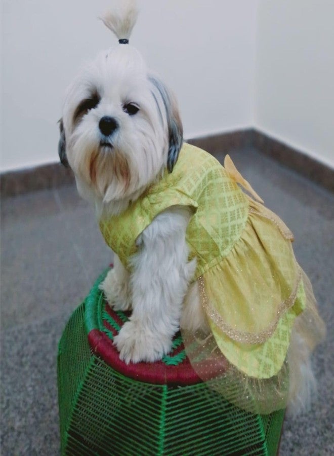 Lulala Traditional Dog Dress for Small, Medium & Large Dogs - Light Green & Golden Ethnic Outfit with Bow | Festive Pet Costume for Weddings & Parties - Image 5