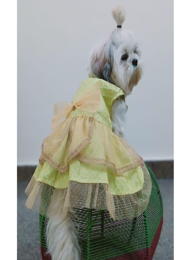 Lulala Traditional Dog Dress for Small, Medium & Large Dogs - Light Green & Golden Ethnic Outfit with Bow | Festive Pet Costume for Weddings & Parties - Image 4