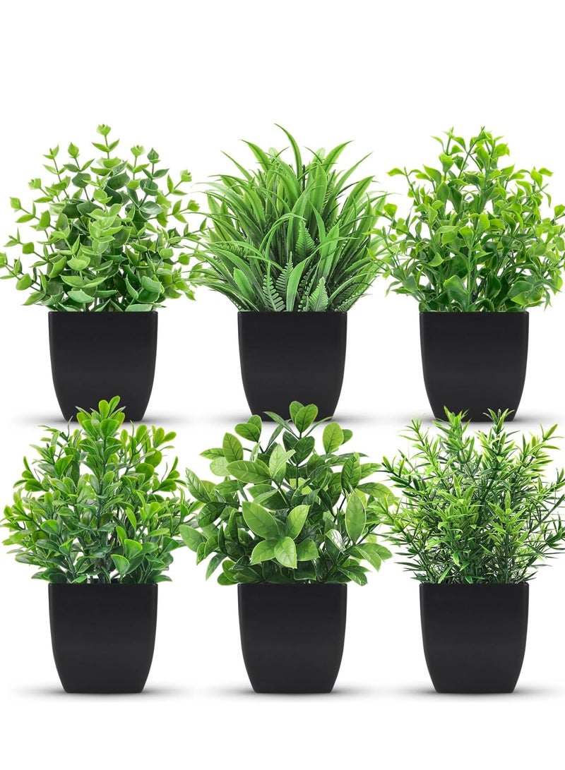 نباتات صناعية صغيرة في أصيص من دير روز 6 قطع