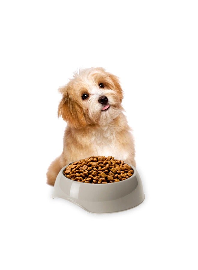 MODERNA Gusto Large (Grey) - Image 2