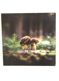 Generic Mushroom Frame Canvas 