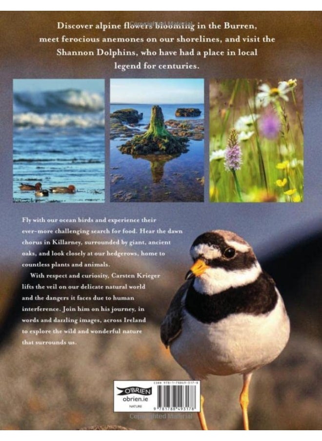 Wild Ireland: A Nature Journey from Shore to Peak  - Image 4