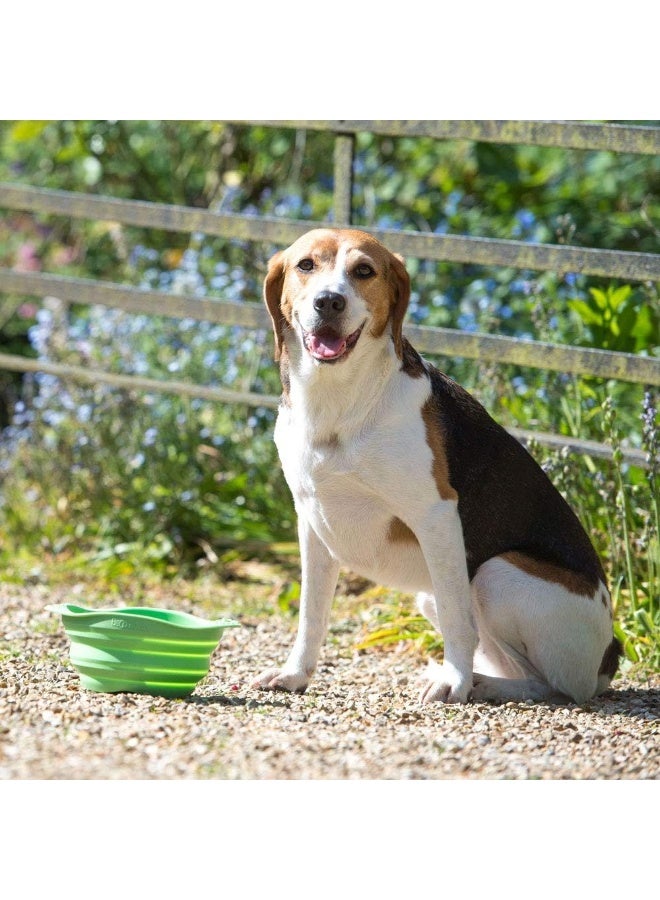 BECO وعاء بيسكو للسفر - وعاء طعام وماء قابل للطي للكلاب - م - أزرق - Image 2