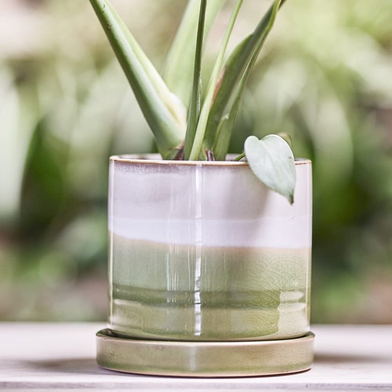 CHIVE â€˜Minuteâ€™ Ceramic Planter Pot â€” Cute 5â€ Colorful Succulent Pots for Indoor & Outdoor House Plants â€” Beautiful Modern Farmhouse Kitchen Decor â€” Green Layers - Image 4