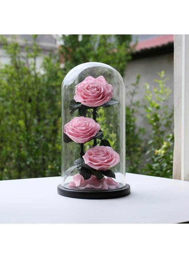 وردة كبيرة محفوظة يدوياً، لا تذبل أبداً، هدية عيد الحب، هدية زفاف، ذكرى زواج، عيد ميلاد، هدية عيد الأم، أفضل هدية لها، وردة، 33×17×17 سم (وردي)