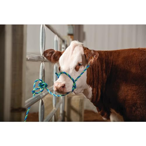 Weaver Livestock حبال حيوانات المزرعة من ويڤر ليذر للبالغين غير محددي الجنس، أزرق/أزرق إعصاري/ليموني، بقرة أمريكية - Image 3