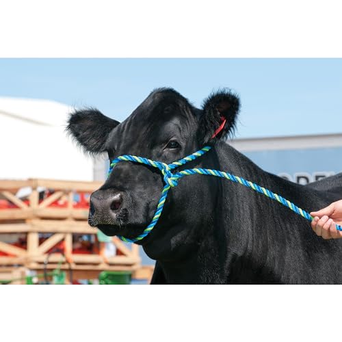 Weaver Livestock حبال حيوانات المزرعة من ويڤر ليذر للبالغين غير محددي الجنس، أزرق/أزرق إعصاري/ليموني، بقرة أمريكية - Image 2