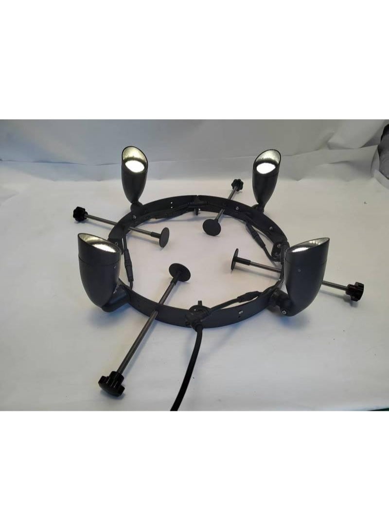 Palm Tree LED Ring Light – 400mm  | IP66 304 Stainless Steel - Image 1