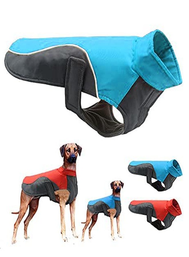 A+A Pets' Free & Wild Dog Jacket for Dogs & Cats | Reflective, Waterproof, Windproof Dog Raincoat | Easy to Wear, No Slip Design | High Visibility Lightweight Rainwear (Blue 3XL) - Image 1