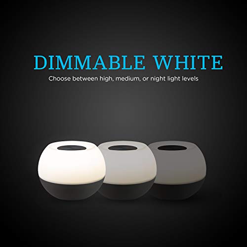 ENBRIGHTEN Color-Changing LED Lamp, Modern Night Light, Dimmable White & Vibrant RGB, Touch Sensor On/Off, Compact, Ideal for Bedside, Office, Dorm, Kid's Room, Gray, 48080 - Image 4