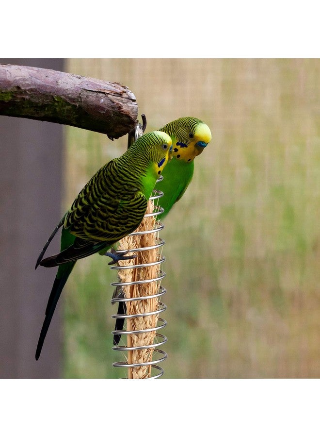 Shappy 3 Pieces Bird Food Holder Stainless Steel Parrot Hanging Vegetable Fruit Feeder Bird Treat Skewer Include 2 Pieces Small and Large Fruit Fork and a Food Basket, Parrot Foraging Toy - Image 5