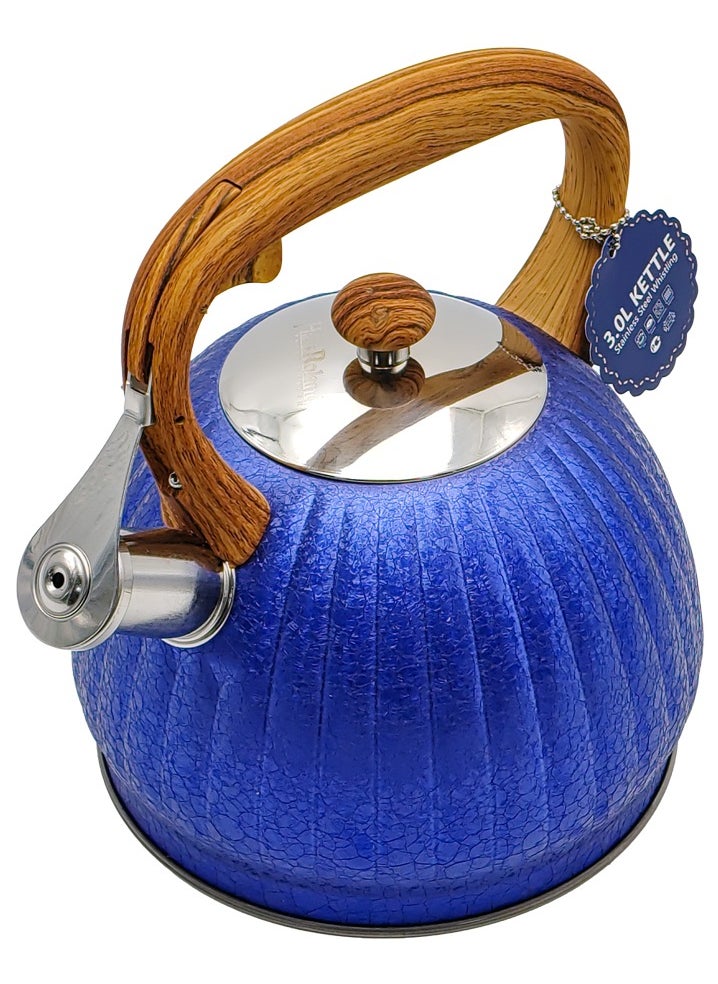 HausRoland Whistling Tea Kettle, Dotted Silver Striped, Stovetop Tea Kettle, Stainless Teapot, 3.5 Liters with Dotted Grain Handles, Fast Boiling, Perfect for Homes, Picnics, and Parties  - Image 1