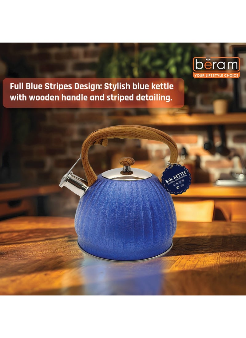 HausRoland Whistling Tea Kettle, Dotted Silver Striped, Stovetop Tea Kettle, Stainless Teapot, 3.5 Liters with Dotted Grain Handles, Fast Boiling, Perfect for Homes, Picnics, and Parties  - Image 2