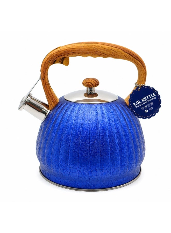 HausRoland Whistling Tea Kettle, Dotted Stovetop Tea Kettle, Stainless Teapot, 3. Liters with Dotted Grain Handles, Fast Boiling, Perfect for Homes, Picnics, and Parties - Image 1