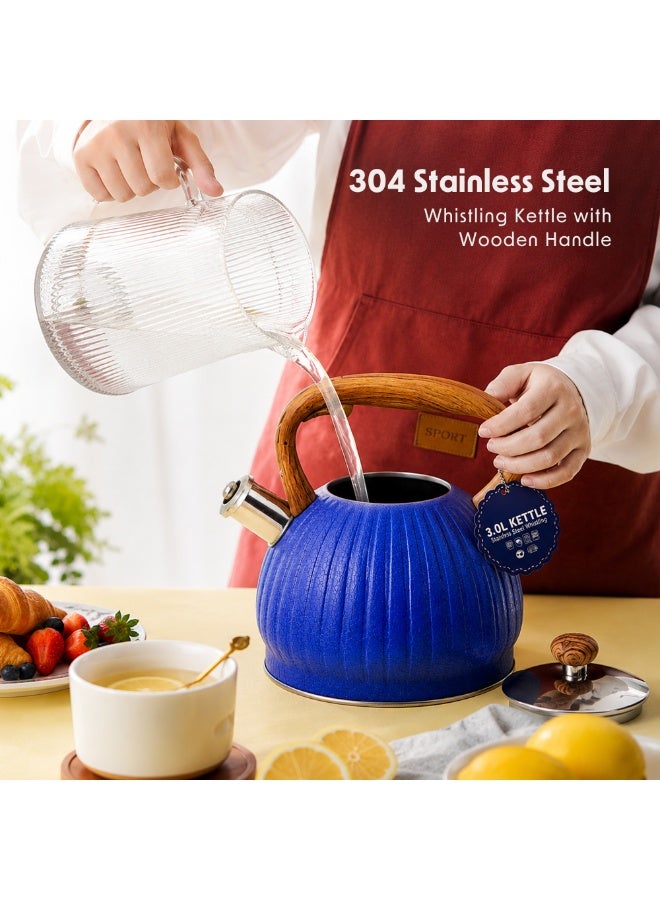 HausRoland Whistling Tea Kettle, Dotted Stovetop Tea Kettle, Stainless Teapot, 3. Liters with Dotted Grain Handles, Fast Boiling, Perfect for Homes, Picnics, and Parties - Image 3