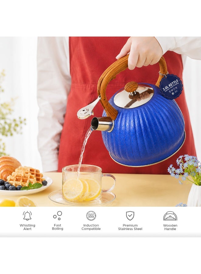 HausRoland Whistling Tea Kettle, Dotted Stovetop Tea Kettle, Stainless Teapot, 3. Liters with Dotted Grain Handles, Fast Boiling, Perfect for Homes, Picnics, and Parties - Image 5