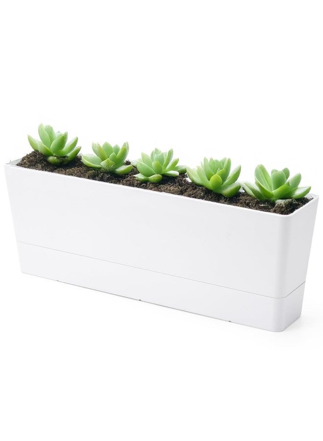 GREANER Large Window Boxes Planters, 1PCS 16x3.8 Inch White Vegetable Herb Planters with Tray, Indoor Succulent Cactus Flowers Plastic Rectangle Pot for Balcony, Office, Garden, Outdoor, Windowsill - Image 1