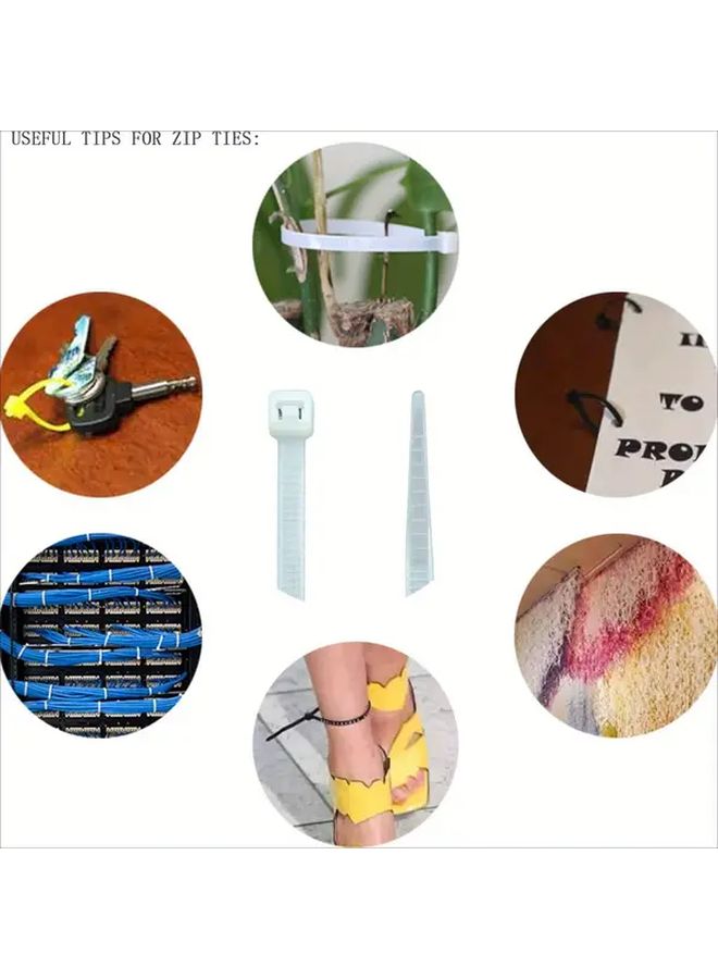 Multi Color 600 Pcs 8 Inch Nylon Cable Ties for Secure Cable Management - Image 3