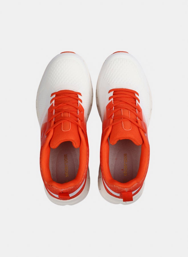 SHOEROOM SNEAKERS Shoeroom Shose  - Image 1