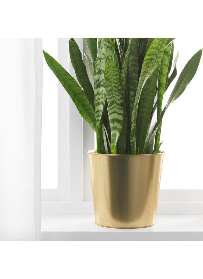Green Tiger Plant pot, brass-colour, 19 cm  - Image 3