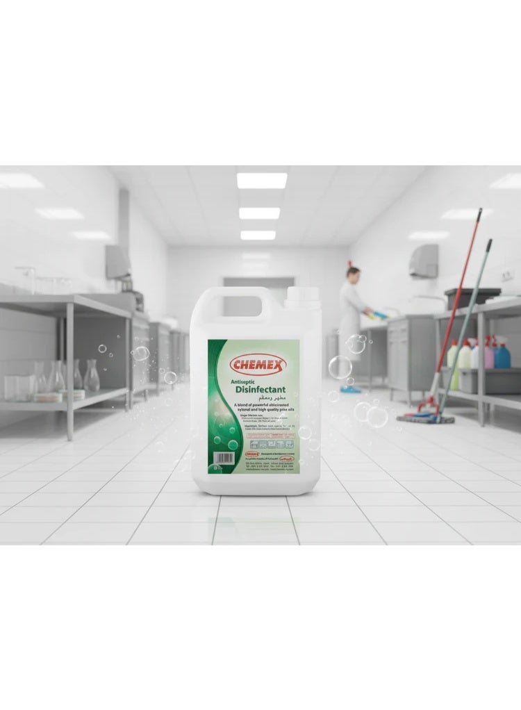 Chemex Antiseptic Disinfectant 5 Ltr - Image 2