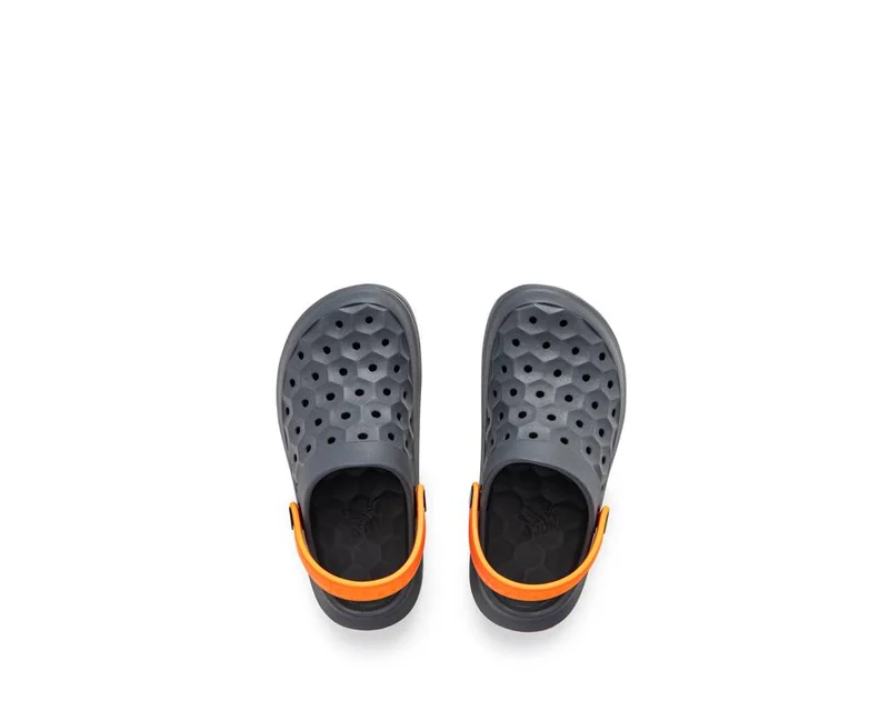 جوي بيز فارستي كلوج