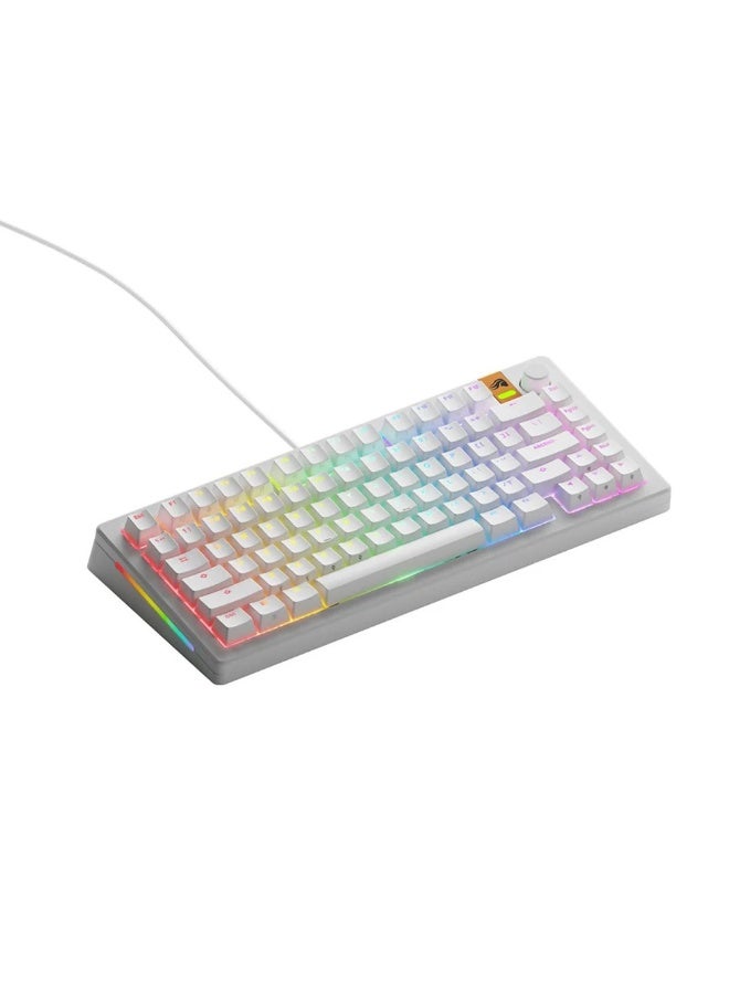 Glorious GMMK 3 HE 75% Hall Effect Mechanical Keyboard Dual HotSwap Support Glorious Fox HE Linear Magnetic Switches (Arabic) - White - Image 5