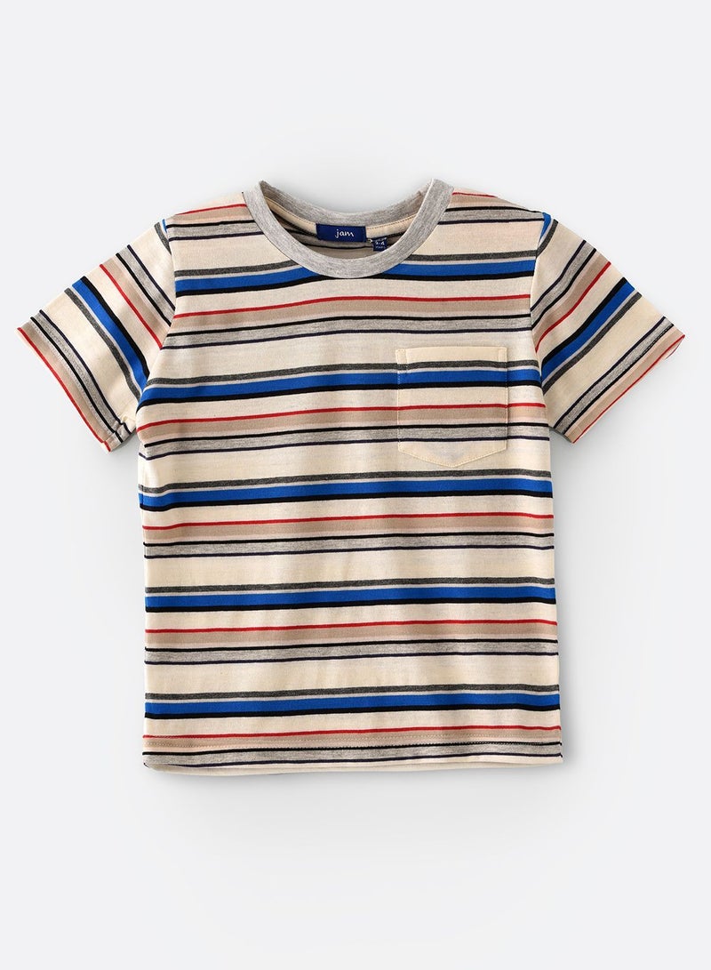 JAM Round Neck S/Slv Stripes Knit T-Shirt - Image 1