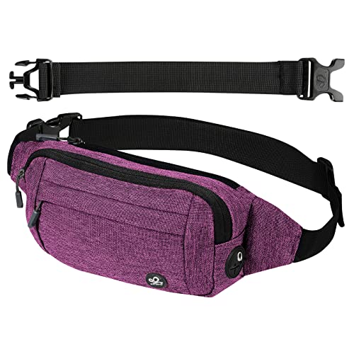 WATERFLY Fanny Pack Waist Bag: Small Hip Pouch Bum Bag Fannie Pack Phanny Fannypack Waistpack Bumbag Beltbag Sport Slim Fashionable for Jogging Hiking Hiker Woman Man - Image 1
