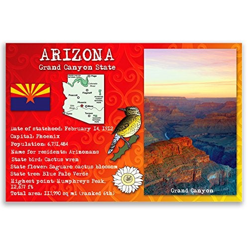 Postcard Fair ARIZONA STATE FACTS postcard set of 20 identical postcards. Post cards with AZ facts and state symbols. Made in USA. - Image 5