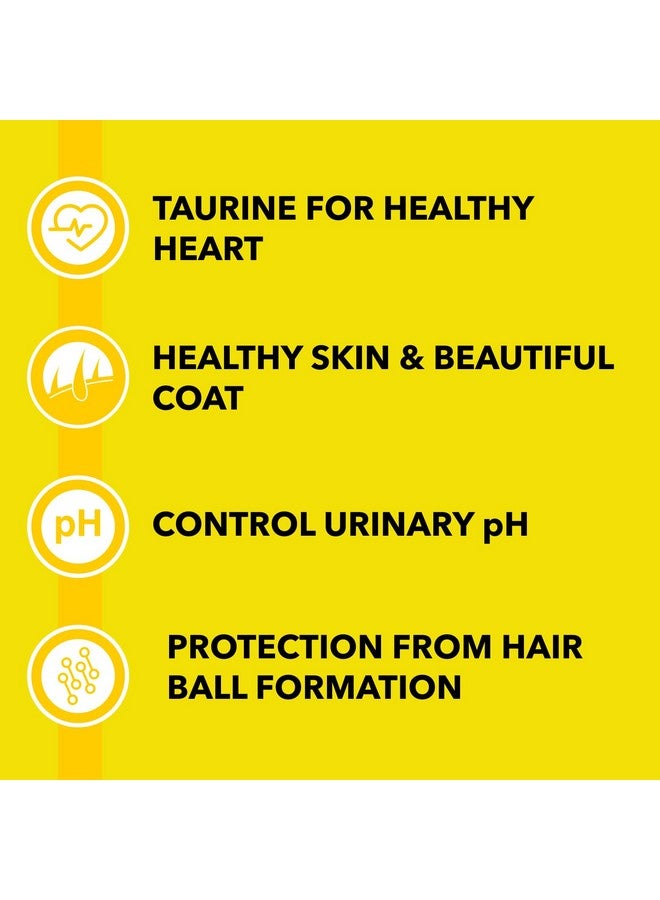 PUREPET طعام جاف للقطط البالغة بنكهة المأكولات البحرية من بيوربيت، عبوة 1 كجم - Image 3