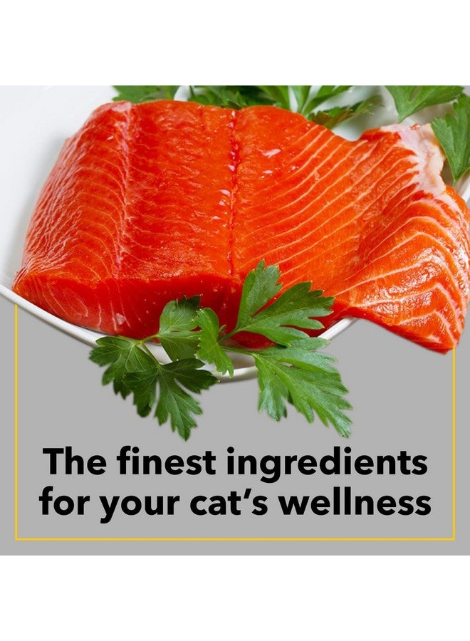 PUREPET طعام جاف للقطط البالغة بنكهة المأكولات البحرية من بيوربيت، عبوة 1 كجم - Image 5