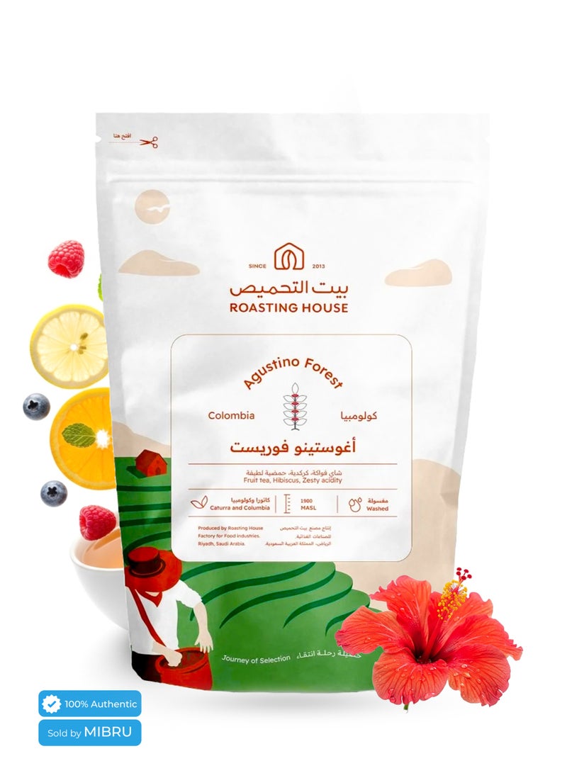 The Roasting House مجموعة محاصيل قهوة غير مطحونة للقهوة المقطرة والاسبريسو 250 جرام كل كيس مثالية للاستخدام مع أدوات القهوة المختصة,V60، كيمكس، الإسبريسو اليدوي - Image 2