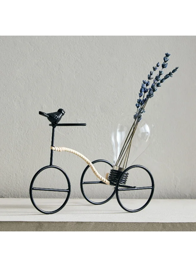 Home Box Wadee Metal Bicycle Accent with Bulb Glass Vase