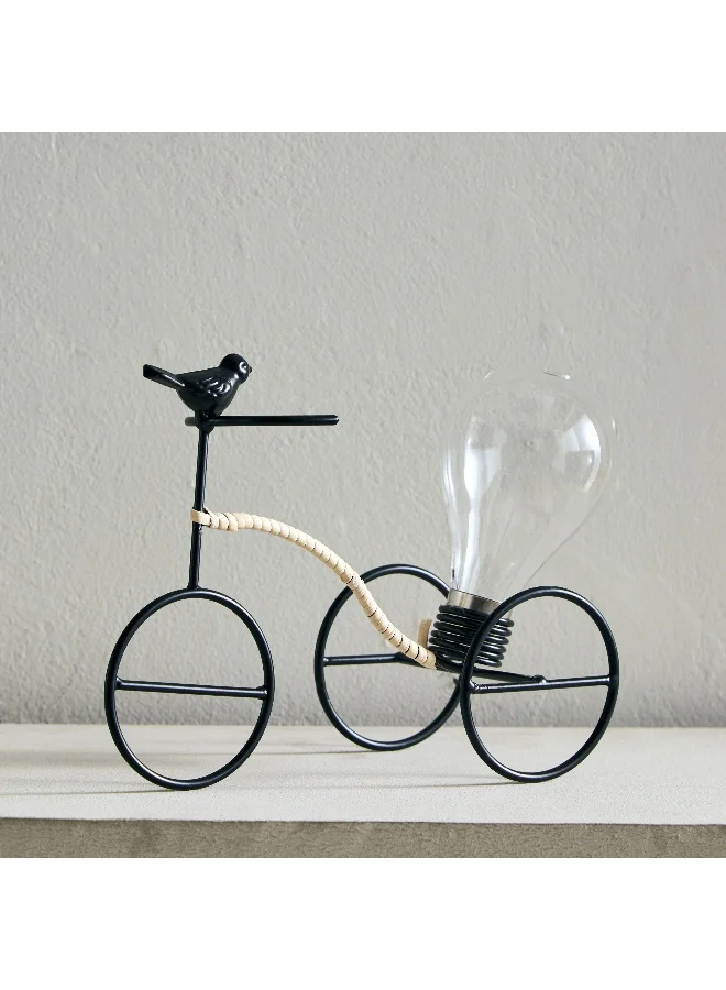 Home Box Wadee Metal Bicycle Accent with Bulb Glass Vase