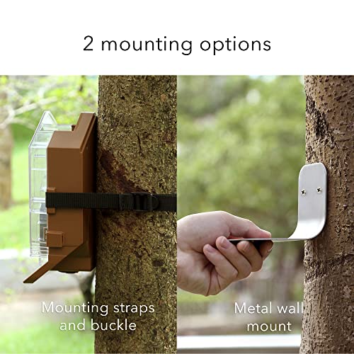Wasserstein Bird Feeder Camera Case Compatible with Blink, Wyze & Ring Security Cameras Including Blink Outdoor 4, Wyze Cam OG & Ring Stick Up Camera (Camera NOT Included) - Image 5