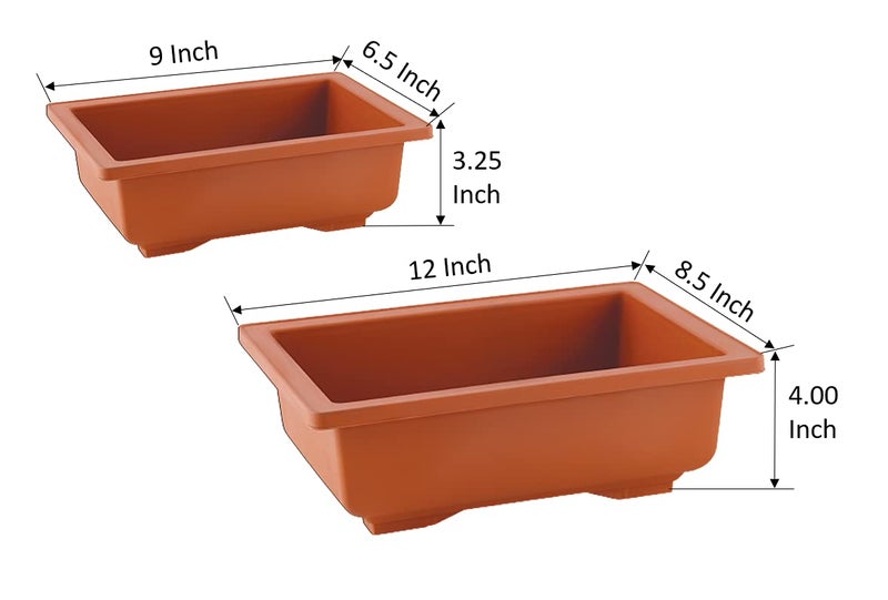 SHOPATHON INDIA Brown Rectangle Shallow Premium Plastic Bonsai Species Tree Plantation Pot for Dwarf Umbrella Ficus Adenium Jade Maple Snow Rose Plants, 2 Pieces - Image 3