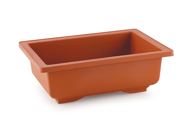 SHOPATHON INDIA Brown Rectangle Shallow Premium Plastic Bonsai Species Tree Plantation Pot for Dwarf Umbrella Ficus Adenium Jade Maple Snow Rose Plants, 2 Pieces - Image 4