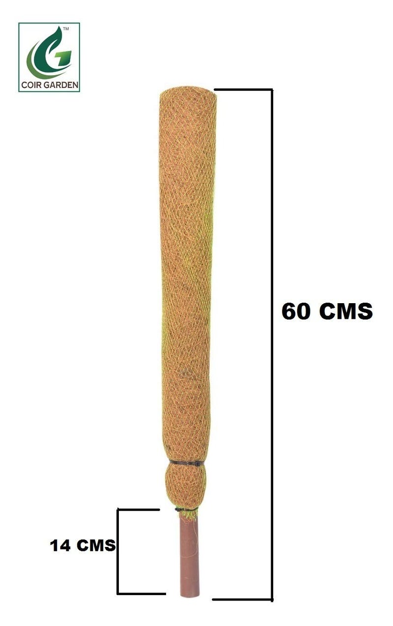 COIR GARDEN Coir Moss Stick for Plant Support, 61 cm, 2 Pieces - Image 2