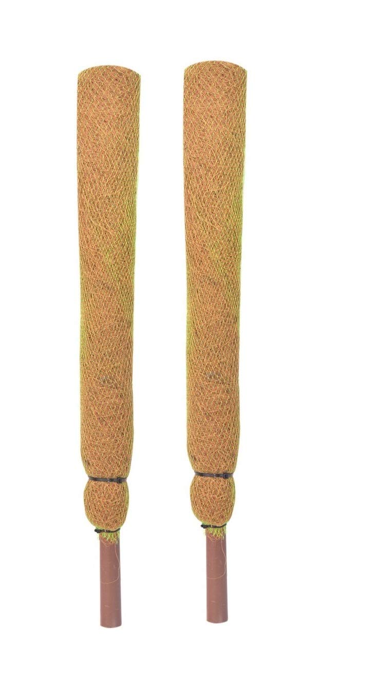 COIR GARDEN Coir Moss Stick for Plant Support, 61 cm, 2 Pieces - Image 1