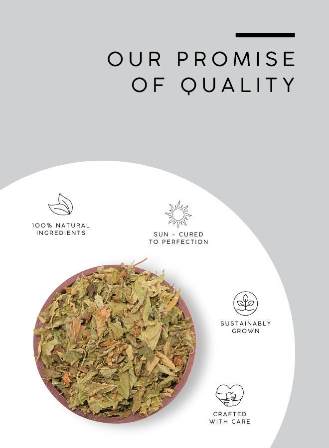 أباميك أوراق الملوخية من مطحنة عواف | ملوخية يهودية مجففة - 500 غرام | 17.6 أونصة - Image 4