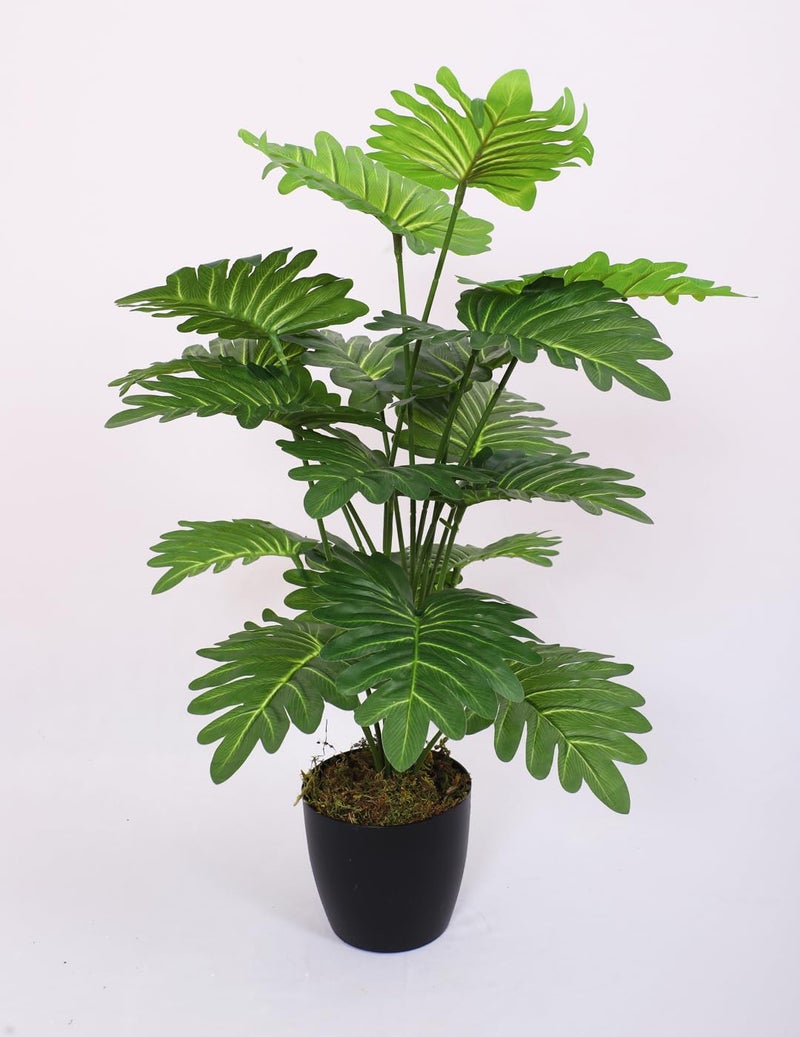 Home Bloom Artificial Philodendron Leaf Plants for with Pot for Interior Decor/Home Décor (18 Leaves, 65 cm Tall, Green) - Image 2