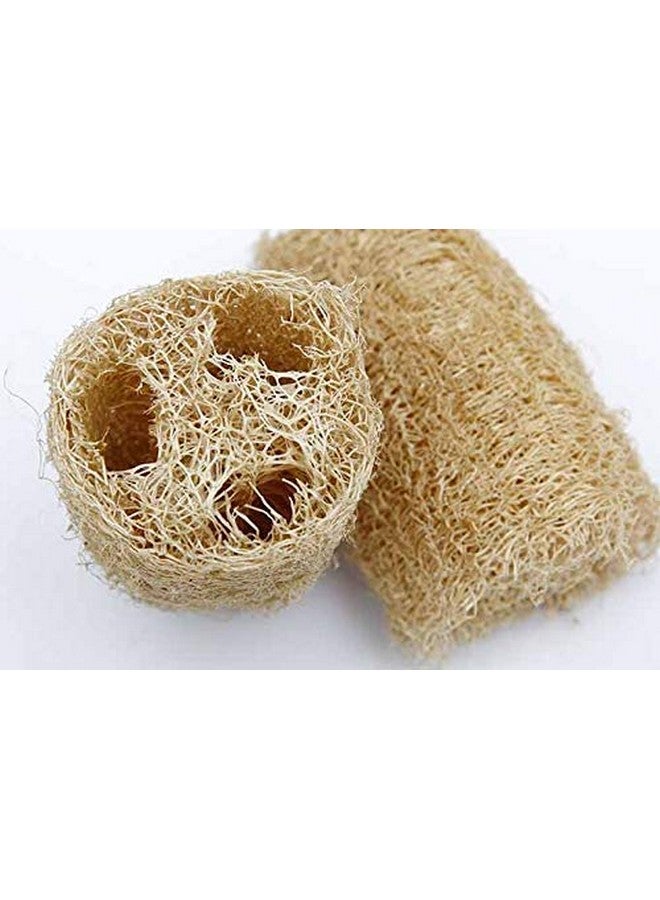 GNR Organic Natural Body Scrub Loofah for Bathing - 4 Pcs Pack - Image 4