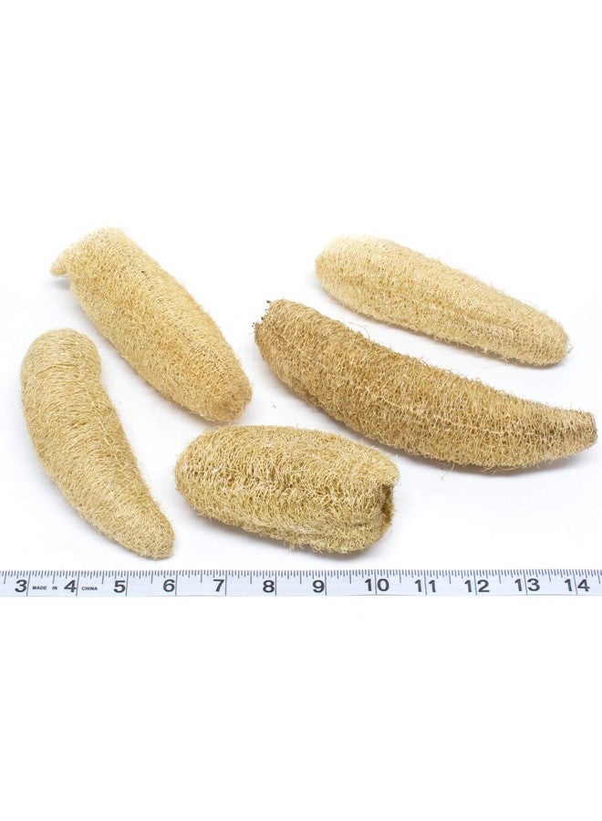GNR Organic Natural Body Scrub Loofah for Bathing - 4 Pcs Pack - Image 2
