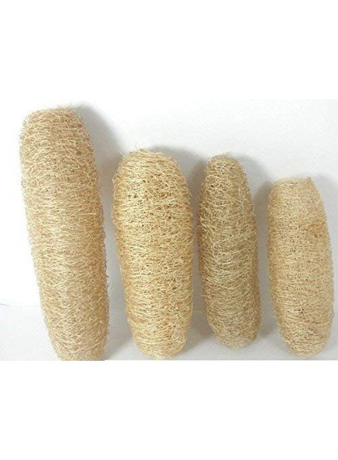 GNR Organic Natural Body Scrub Loofah for Bathing - 4 Pcs Pack - Image 1