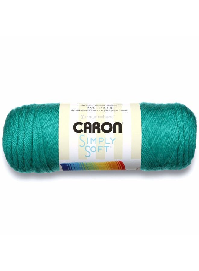 CARON Simply Soft Party Solids Yarn, Gauge 4 Medium Worsted, 6 oz - Cool Green - Image 1