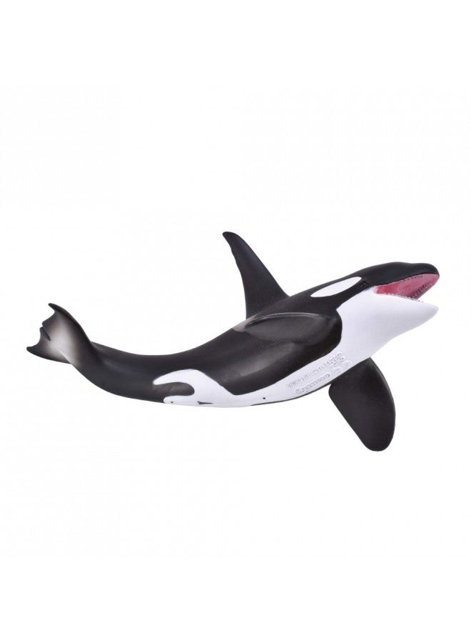 CollectA تمثال لعبة حوت الأوركا من كولكتا - نموذج مصبوغ يدويًا أصلي، 8.1" طول x 3.1" ارتفاع