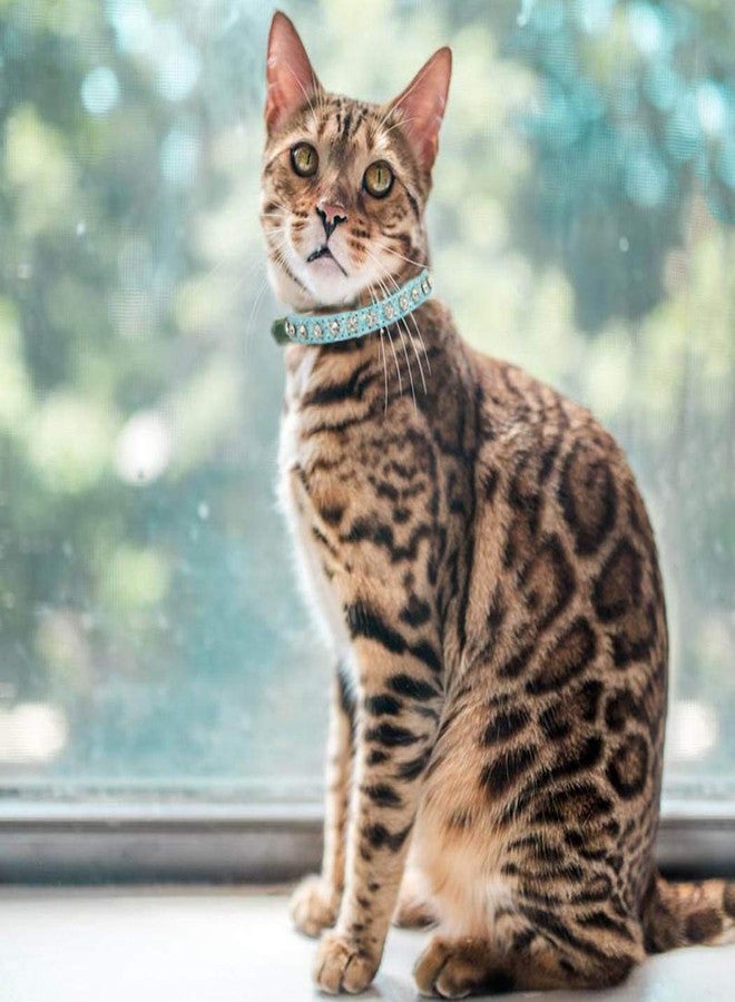 Urieo Sparkle Rhinestone Cat Collars Silver Leather Kitten Collar Bling Classy Pet Collars for Puppy Rabbits and Small Dogs (Pack of 2) - Image 3